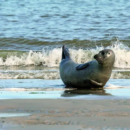 Gud Jard Nr 15 - Design-ferienhaus Mit Exklusiver Ausstattung Dom wakacyjny